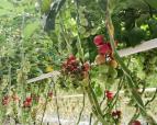 фото 3.jpg